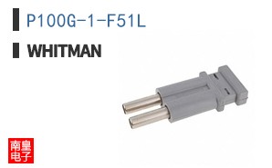 P100G-1-F51L ͼƬ